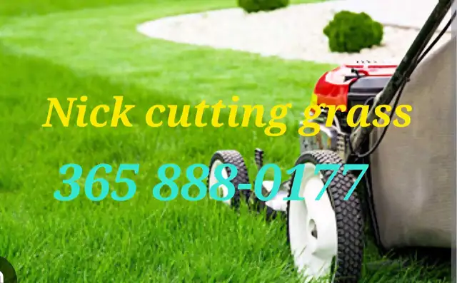 Cutting grass