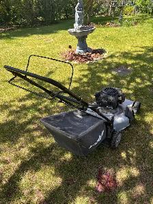 Self-propelled Lawnmower $160