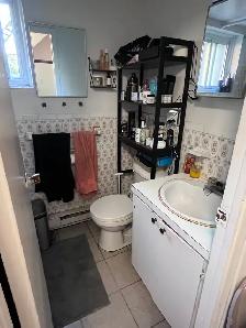 2 1/2 Bachelor for rent in Chomedey for July or Aug 2026 - Photo 4