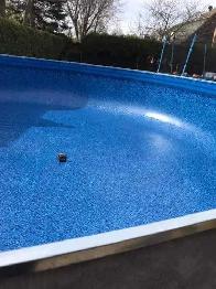 changement de toile (piscine) - Photo 4