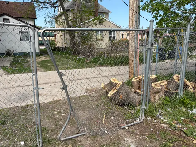 construction/ Renovation helper
