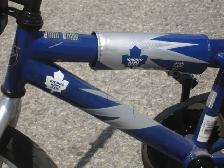 BOY'S LITTLE LEAF FAN ALMOST NEW 16' TORONTO MAPLE LEAF BIKE! - Photo 5