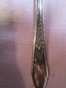#19-57B   GARDENIA silverware set for 6