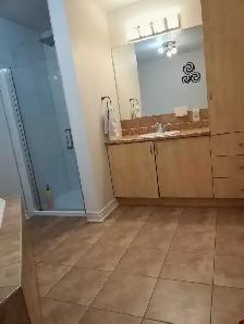 3-Bedroom Condo for Rent - Plateau, Hull (Gatineau) - Photo 8