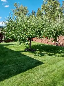 Three Bedroom Family Home, Kimberley,  BC - Photo 10