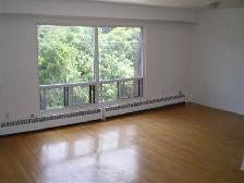 ALLISTON very LARGE 2 Bedroom 910 SF - Photo 3