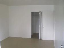 ALLISTON very LARGE 2 Bedroom 910 SF - Photo 5