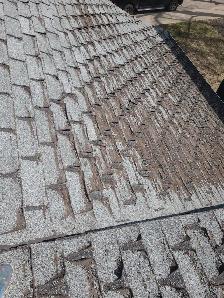 Roofers help needed - Photo 3