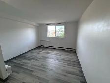 Studio suite in Brevoort Park - Photo 2