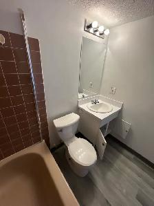 Studio suite in Brevoort Park - Photo 5