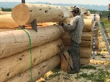 Handcrafted full scribe log home builders needed!