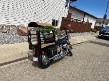 2007 750 Honda with custom belt dog carrier - Photo 2