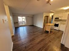 1 Bed & 1 Bath Apartment Style Condo In Fairhaven Area - Photo 2