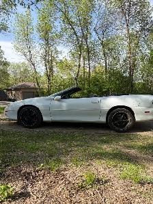 2002  Convertable Chevy  Camaro - Photo 2