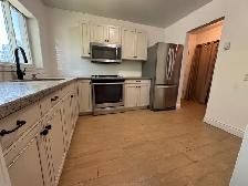 3 bed one bath
