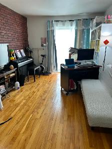 Rosemont 4 1/2 apartment - Photo 2