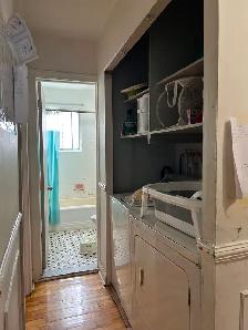 Rosemont 4 1/2 apartment - Photo 5