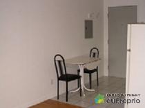 Beau grand 1 et 1/2 - Photo 5