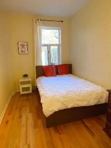 5 Bedrooms apartment, fully furnished, Plateau Mont Royal - Photo 3