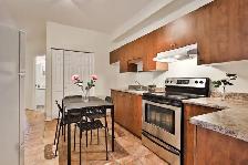 5 Bedrooms apartment, fully furnished, Plateau Mont Royal - Photo 6