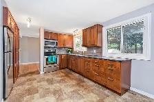 Great house for rent: close to Carleton U and Algonquin, Aug 1st - Photo 4