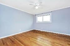 Great house for rent: close to Carleton U and Algonquin, Aug 1st - Photo 7