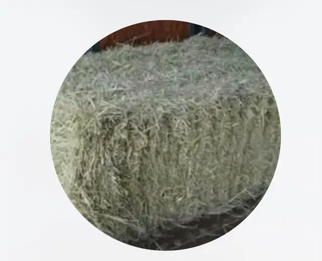 Square hay bales