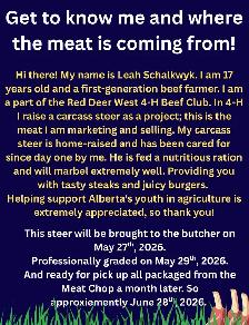 Beef for sale!! - Photo 2