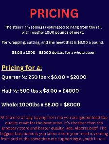 Beef for sale!! - Photo 3