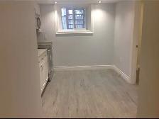 Leslieville Renovated 1 Bedroom Basement Apartment