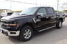 2025 Ford F-150 XLT - Photo 8