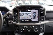 2025 Ford F-150 XLT - Photo 9