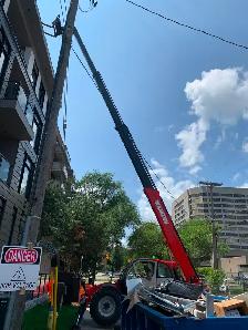 Carpenters - Photo 3