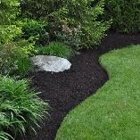 landscaper needed no experience
