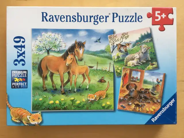 Casse-têtes / puzzles (10 CT) – 49 @ 54 pcs (VIII)