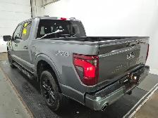 2024 Ford F-150 XLT 303A Black Appearance FX-4 Off-road Pkg - Photo 5