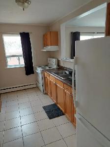 2 Bedroom Apartment for Rent in Hamilton next to Escarpment