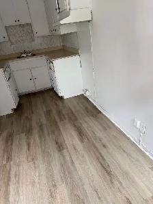 Apparemment 3 1/2 et Grand Studio à Ahuntsic - Photo 2
