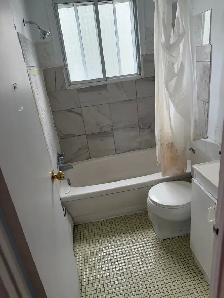 Apparemment 3 1/2 et Grand Studio à Ahuntsic - Photo 5