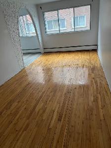 Apparemment 3 1/2 et Grand Studio à Ahuntsic - Photo 7