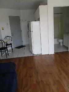 studio 1 1/2 - Photo 8