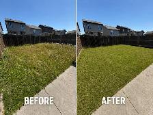 Professional Lawn Maintenance and Landscaping Services - Photo 2
