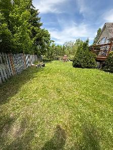 Professional Lawn Maintenance and Landscaping Services - Photo 3