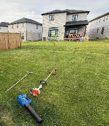 Professional Lawn Maintenance and Landscaping Services - Photo 4