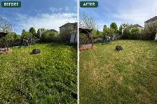 Professional Lawn Maintenance and Landscaping Services - Photo 5