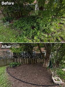 Professional Lawn Maintenance and Landscaping Services - Photo 6