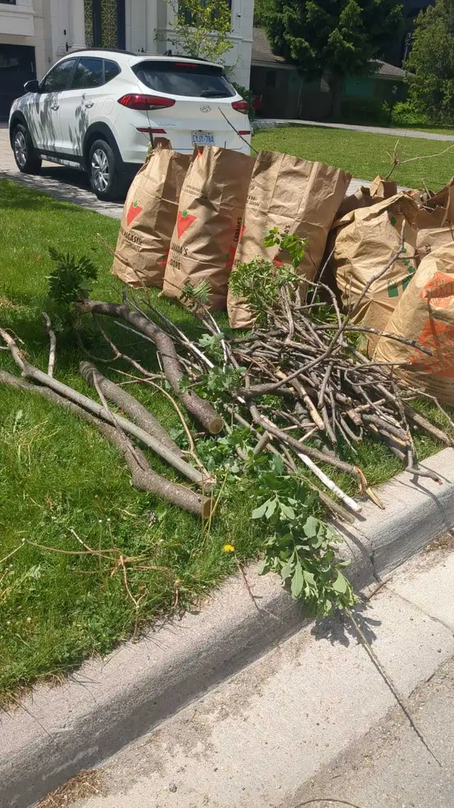 looking for worker for landscaping CASH PAID