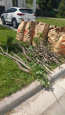 looking for worker for landscaping CASH PAID