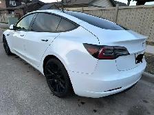 2021 Tesla Model 3 RWD For Sale - Photo 7