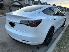 2021 Tesla Model 3 RWD For Sale - Photo 8